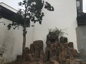 简约其它其它实景图